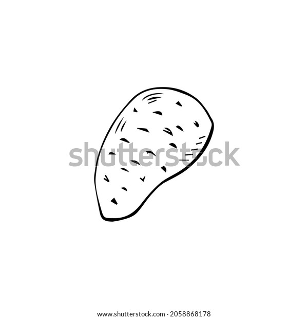 Potato Tuber Vector Outline Drawing Vegetable Stock Vector (Royalty