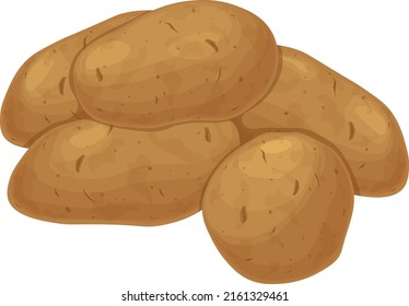 Potato. Potato tubers. A ripe vegetable. Vegetarian product. Sliced potatoes. Vector illustration isolated on a white background