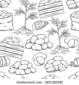 Potato tubers seamless pattern outline hand drawn monochrome, vector ink illustration. Backdrop of engraved isolated root crops for ad farm food store, wrapping