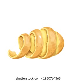 Potato with twisted peel. Vector illustration of peeled potatoes vegetable.