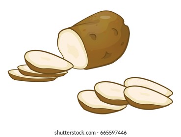 Potato vector