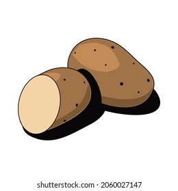 Potato vector, 3d sketch line isometric style, color icon illustration. Creative design idea and infographics elements.