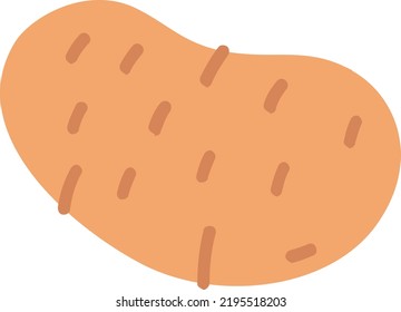 potato vector concept on white background. isolated illustration icon