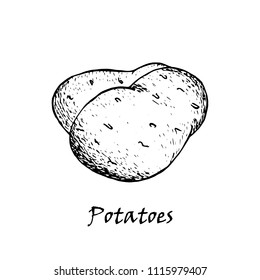 Potato vector drawing. Isolated hand drawn potatoes heap. Vegetable artistic style illustration. Detailed vegetarian food sketch. Farm market product.