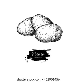 Potato vector drawing. Isolated potatoes heap. Vegetable engraved style illustration. Detailed vegetarian food sketch. Farm market product.