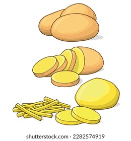 Potato vector drawing set. Whole and cut potato vector illustration