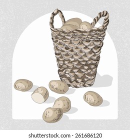 Potato. Vector Graphic, eps 8