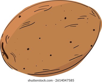 Potato. Vector Icon. Outline color drawing of potato isolated.