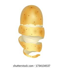 Potato vector icon.Realistic vector icon isolated on white background potato.