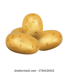 Potato vector icon.Realistic vector icon isolated on white background potato.