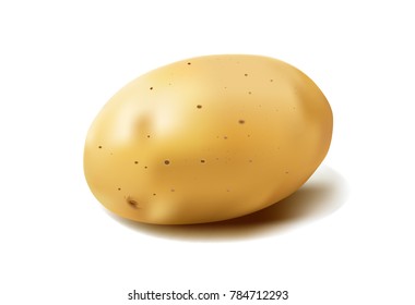 potato vector illustration