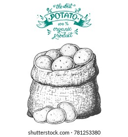 Potato vector illustration. Bag of potatoes hand drawn. Engraved style.