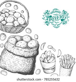 Potato vector illustration. Basket and bag of potatoes. French fries, rustic potatoes and chips hand drawn. Engraved style frame.