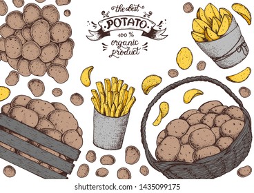 Potato vector illustration. Box and bag of potatoes. French fries, rustic potatoes and chips hand drawn. Packaging design.