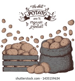 Potato vector illustration. Box and bag of potatoes. Illustration for package design.