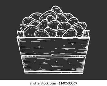 Potato vector illustration. Box of potatoes hand drawn. Engraved style.