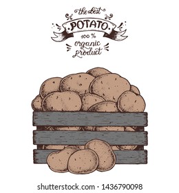 Potato vector illustration. Box of potatoes hand drawn. Colorful illustration.