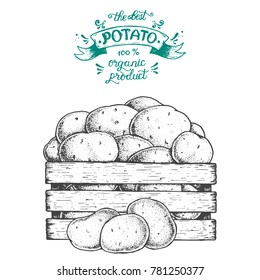 Potato Vector Illustration. Box Of Potatoes Hand Drawn. Engraved Style.