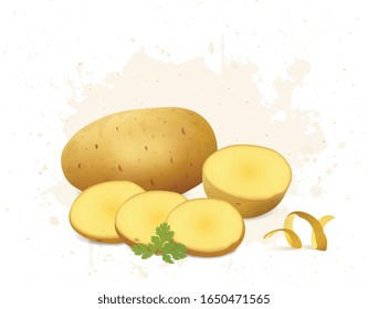 Vektorillustration mit Kartoffelhalben auf weißem Hintergrund