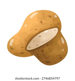 Potato vector illustration, hand drawn watercolor painting style, potato clip art, potatoes clip art, organic root vegetable food ingredient

