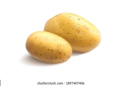 Potato Vector Illustration Isolated On White Background