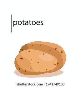 Potato vector illustration. Isolated white background.
