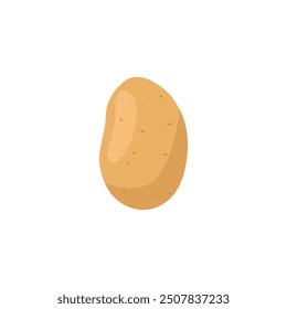 Potato vector illustration. Minimalistic flat illustration of popular  root vegetable - young potato.