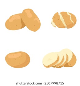 Potato vector illustration. Minimalistic flat illustration of popular  root vegetable - young potato.