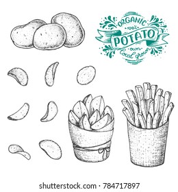 Ilustración vectorial de patata. Patatas crudas, patatas fritas, patatas rústicas y patatas fritas tiradas a mano. Ilustración de estilo grabada.