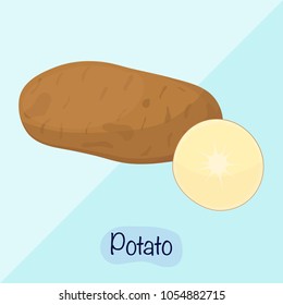Potato vector illustration, vegetable slices design concept. Potato cut flat design.