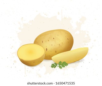Potato vector illustration with, half pieces of potato on white background