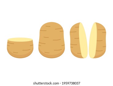 Potato vector. Potato vector. Potato on white background.