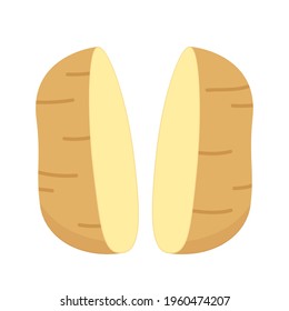 Potato vector. Potato on white background.