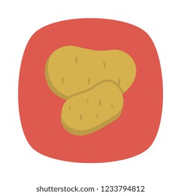 potato   vegetable   food 