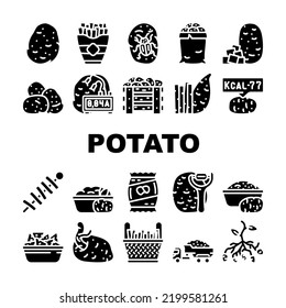 potato vegetable food fresh icons set vector. raw organic plant, sweet cut pile, farm agriculture slice, harvest field root potato vegetable food fresh glyph pictogram Illustrations