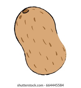 potato vegetable icon
