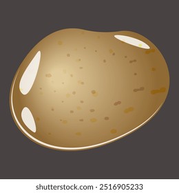 Patata vegetal aislado en el fondo negro, dibujo gráfico del icono, comida fresca de la agricultura. Limpie la papa marrón redonda con textura