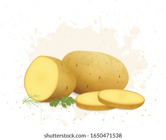 Potato vegetable vector illustration with potato slices