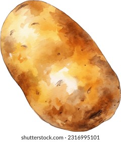 Potato watercolor illustration. Hand drawn underwater element design. Artistic vector marine design element. Illustration for greeting cards, printing and other design projects.