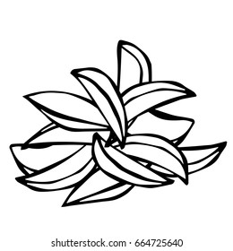 Potato Wedges Set. Fast Food. Isolated On a White Background. Realistic Doodle Cartoon Style Hand Drawn Sketch Vector Illustration.