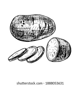 Kartoffel ganz und Scheiben. Vektor Vintage Schraffur schwarze Illustration. Einzeln auf weißem Hintergrund.
