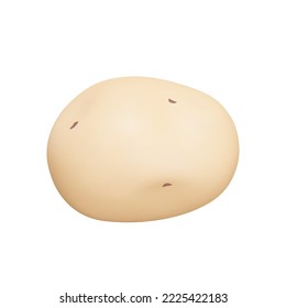 Potatoes 3d icon. The vegetable. Isolated object on transparent background