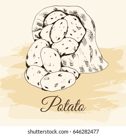 potatoes in the bag hand drawn sketch style 