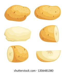 Patatas en conjunto de estilo plano de dibujos animados. Patata entera, cortada, pelada y en rodajas. Ilustraciones vectoriales aisladas sobre fondo blanco.