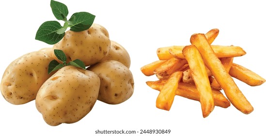 potatoes and french fried potatoes chip on white background