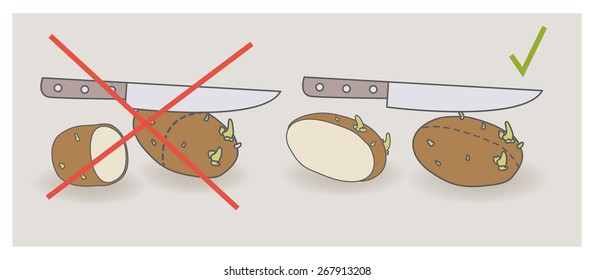 Potatoes Growing Guide General Advice