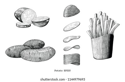 Potatoes hand draw vintage clip art isolated on white background