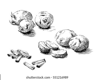 The potatoes hand drawn. Graphics sketch 