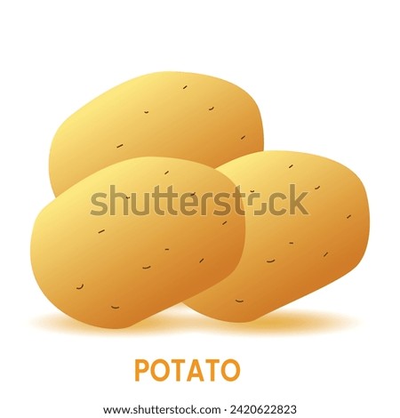 Potatoes icon. Realistic potato icon. Vector illustration of potato, vegetables icon.