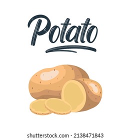 Patatas aisladas en el fondo. Juego de cuñas, enteras, rodajas, medias, anillos de patatas. Vista superior de ilustración de vector